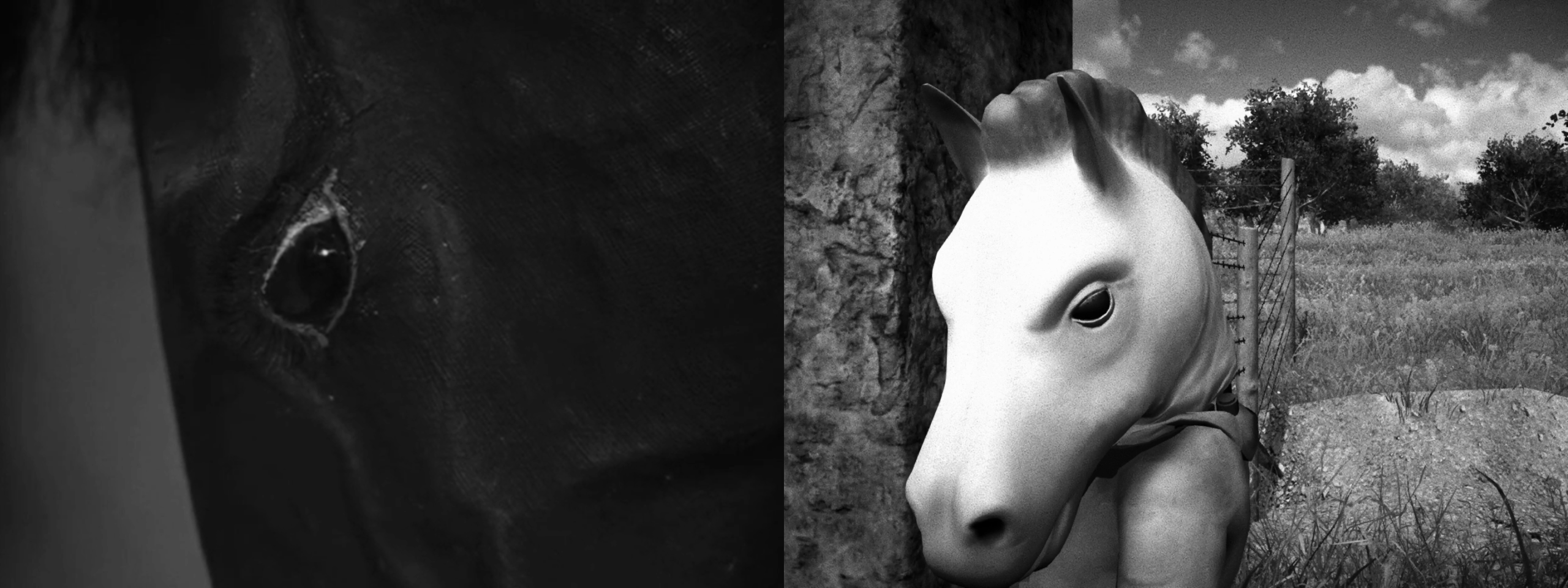 Zwei Bilder. Links: Eine extreme Nahaufnahme auf ein lebloses Auge einer Pferdemaske aus Das Testament des Orpheus. Rechts: Eine Nahaufnahme auf den Kopf einer Pferdemaske mit Fokus auf eines der leblosen Augen.
