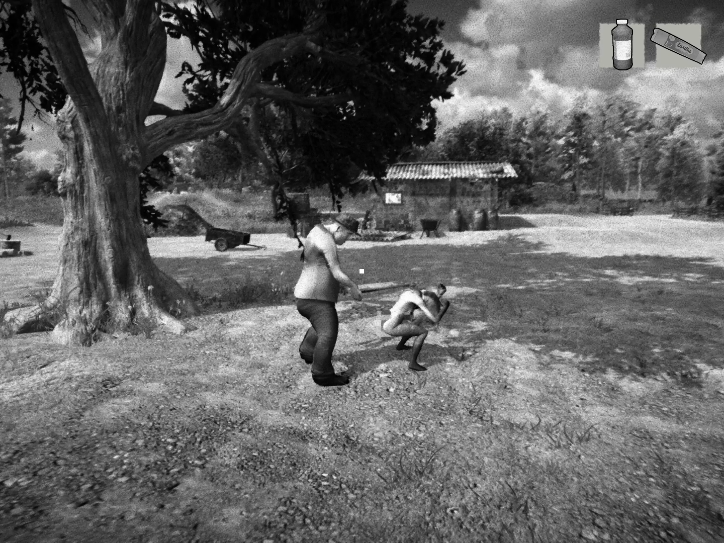 Der Farmbesitzer schlägt mit einer Peitsche auf ein Pferd ein.