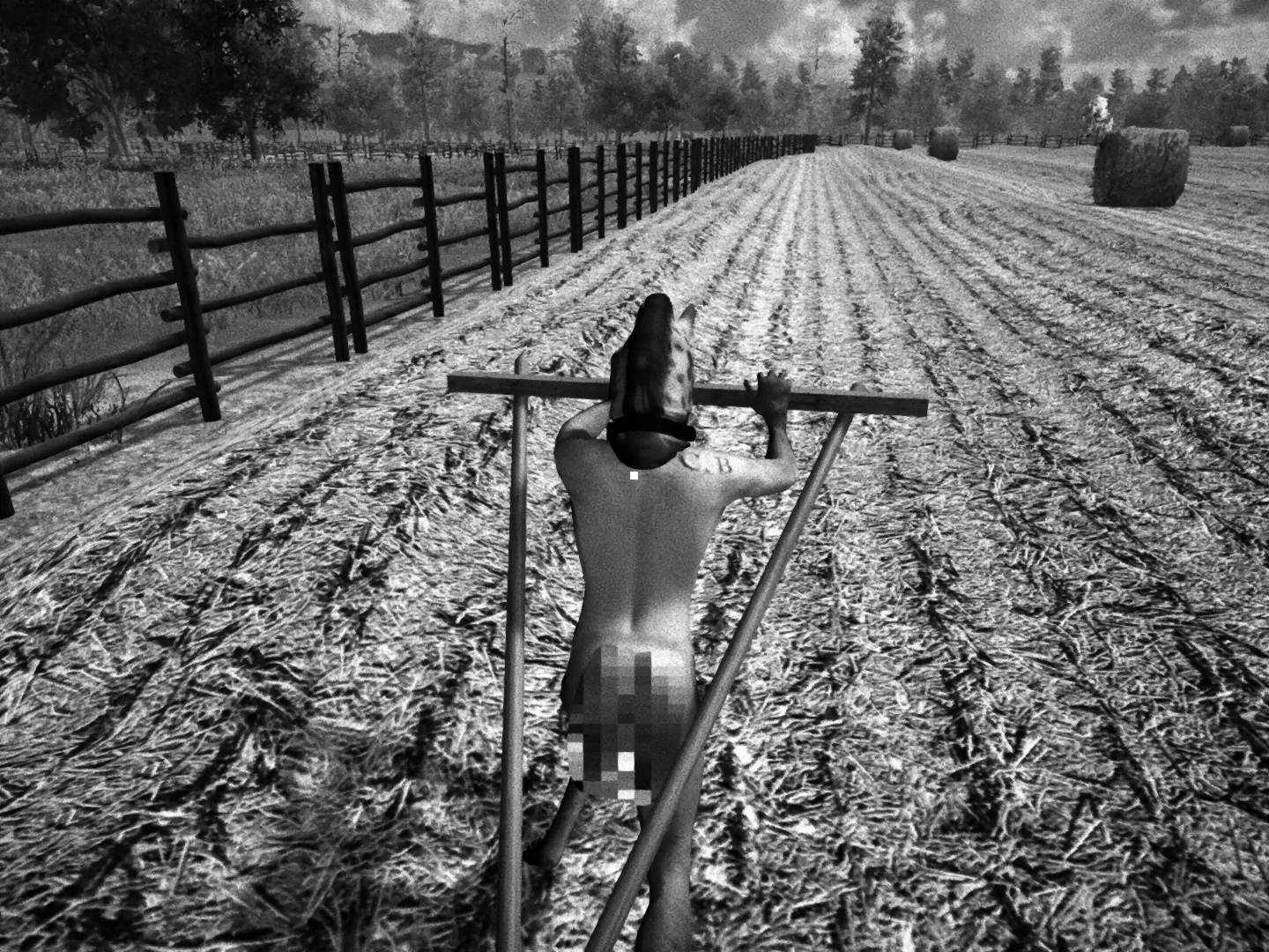 Ein Pferd schiebt einen Pflug.